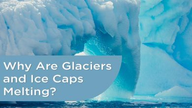 Glaciers-and-Ice-Caps-Melting