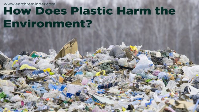 how-does-plastic-harm-the-environment