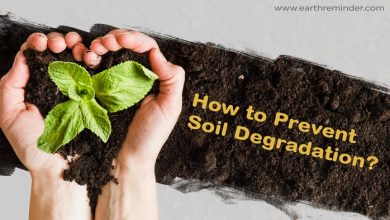 how-to-prevent-soil-degradation