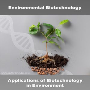 research topics in environmental biotechnology