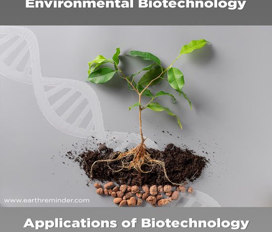 applications-of-biotechnology-in-environment