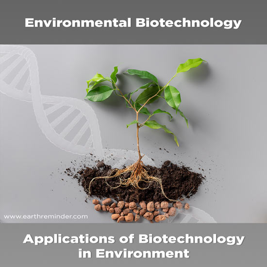 applications-of-biotechnology-in-environment