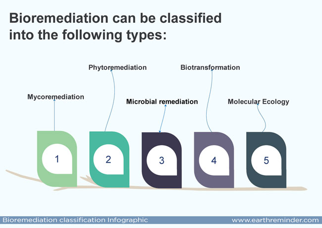 bioremediation-classifications-infographic