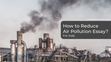 reduce-air-pollution-essay