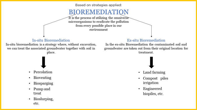 Types-of-Bioremediation-Chart