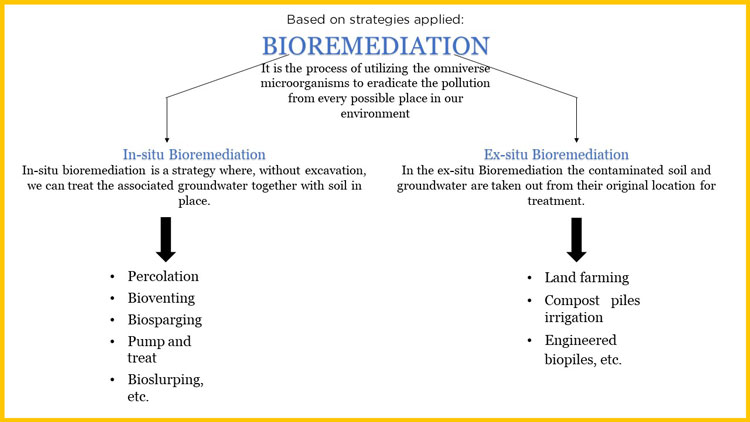 write an essay on two methods of bioremediation