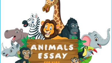 animal-essay-for-kids