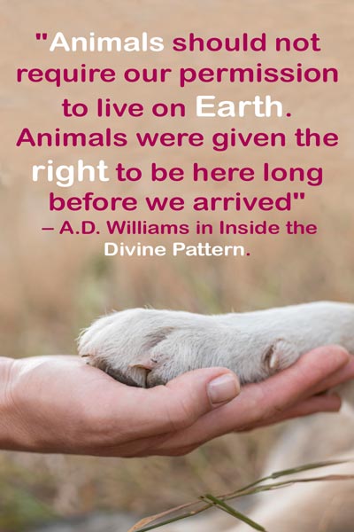 Animal Rights Meaning | What Are Animal Rights? - Earth Reminder Animal Rights Meaning | What Are Animal Rights? - Earth Reminder