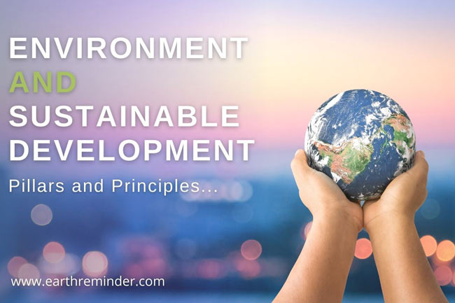 environment and sustainable development essay