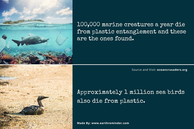 marine-environmental-pollution-facts-for-kids