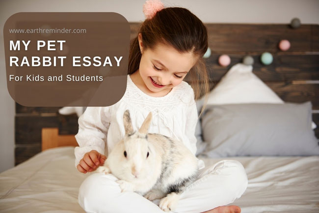 My Pet Rabbit Essay For Kids From Class 2 to 5 | Earth Reminder