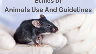 ethics-of-animals-use