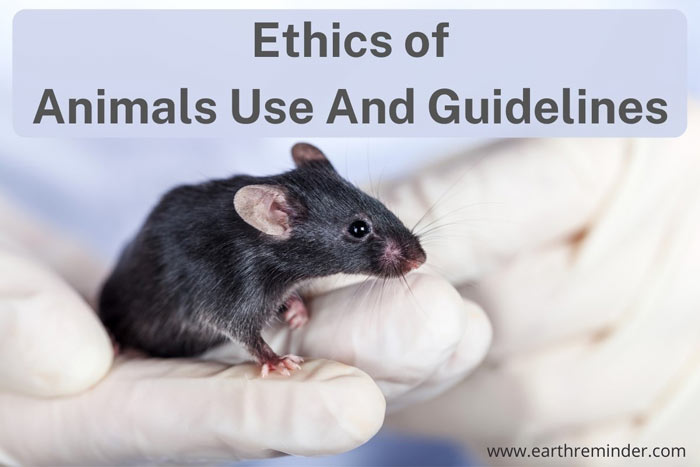 ethics-of-animals-use