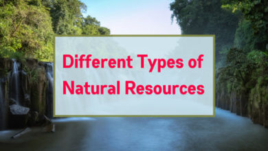 types-of-natural-resources