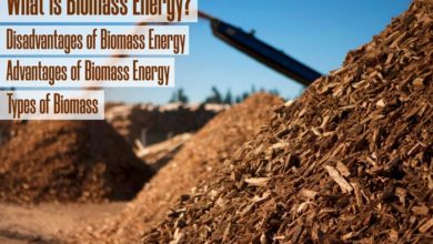 Biomass Energy Meaning Types Advantages and Disadvantages