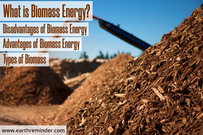 Biomass Energy - Types, Advantages & Disadvantages | Earth Reminder