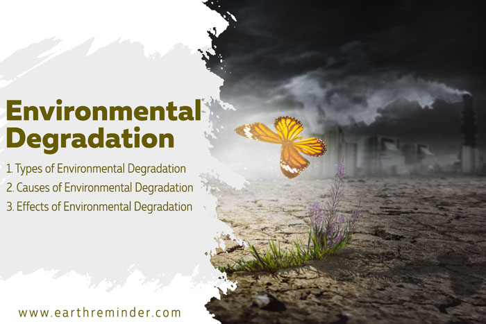 short note on environmental pollution