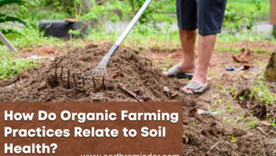 how-do-organic-farming-practices-relate-to-soil-health