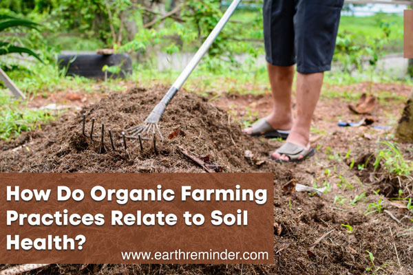 how-do-organic-farming-practices-relate-to-soil-health