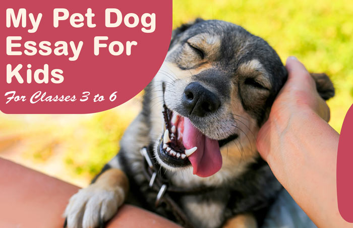My Pet Dog Essay for Kids From Classes 3 to 6 | Earth Reminder