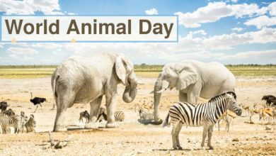 World-Animal-Day-Date-History-Themes-and-Celebration-Worldwide