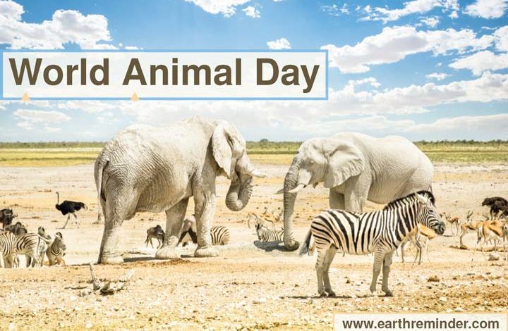 World-Animal-Day-Date-History-Themes-and-Celebration-Worldwide