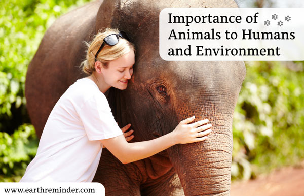 Importance of Animals to Humans and Environment | Earth Reminder