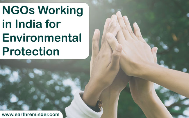 NGOs Working for Environmental Protection in India | Earth Reminder
