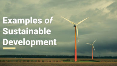 sustainable-development-examples
