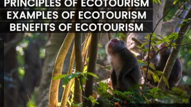 ecotourism-principles-benefits-and-examples