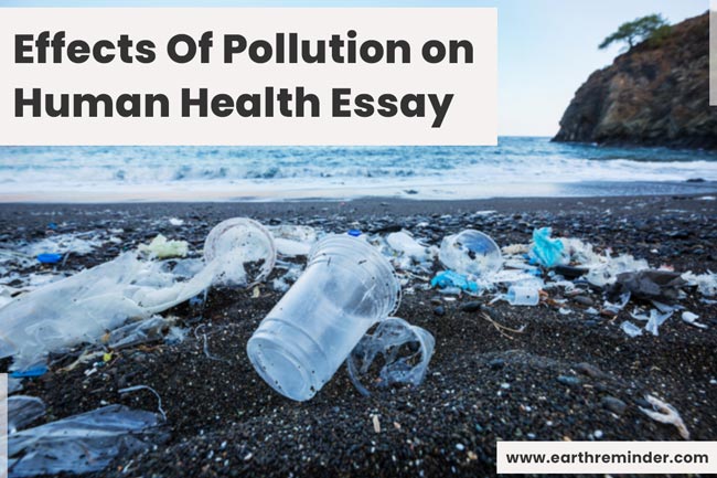 essay on pollution and its causes