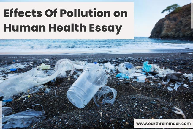 essay on harmful effects of pollution