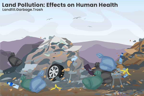 land pollution effects on human health