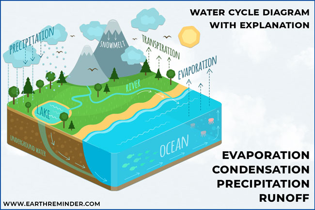 The Water Cycle Stock Illustration - Download Image Now - Water Cycle,  Change, Water - iStock