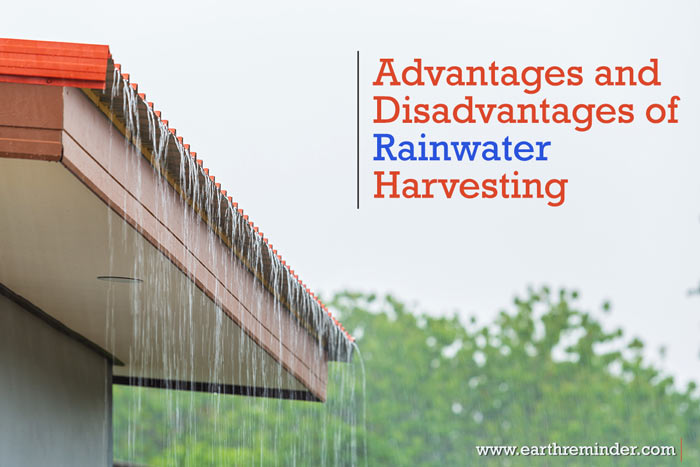 advantages-and-disadvantages-of-rainwater-harvesting