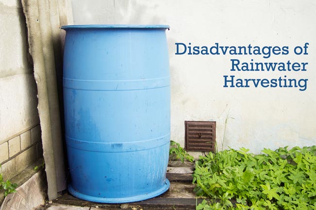 disadvantages-of-rainwater-harvesting