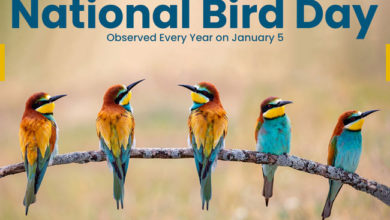 national-bird-day
