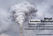 smoke-pollution-causes-effects-prevention