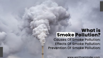smoke-pollution-causes-effects-prevention