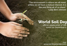 world-soil-day