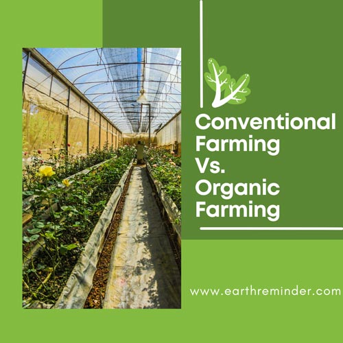 organic-farming-vs-conventional-farming