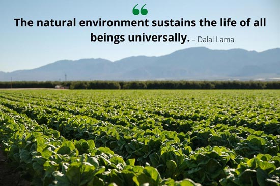 organic-farming-for-sustainable-development