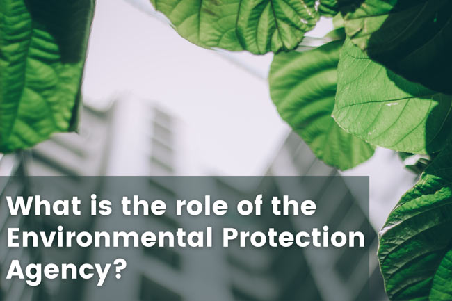what-is-the-role-of-the-environmental-protection-agency