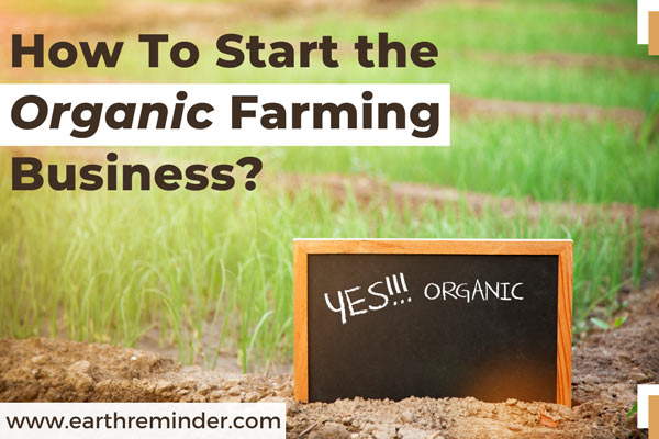 How To Start the Organic Farming Business?