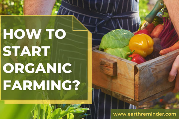 How to Start Organic Farming?