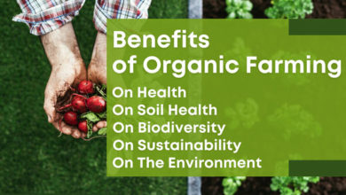 what-are-the-benefits-of-organic-farming