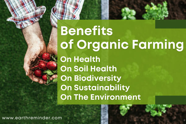 what-are-the-benefits-of-organic-farming