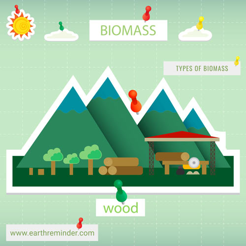 woodlands-biomass-types-diagram