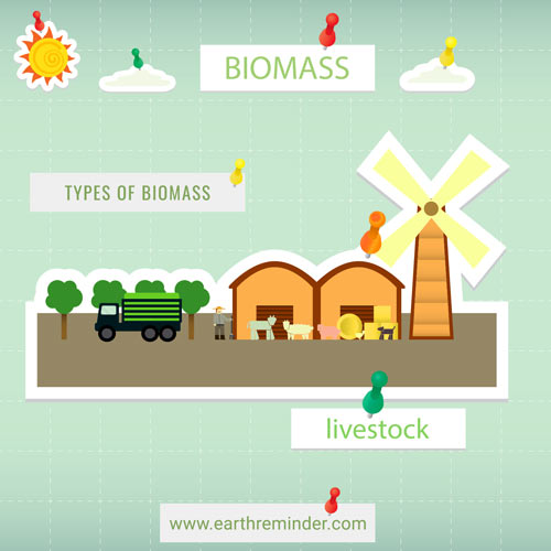 livestock-animals-biomass-types-illustration
