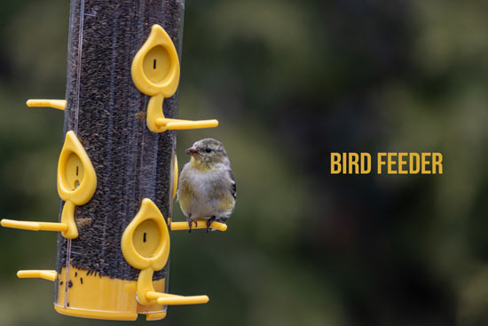 making-bird-feeder-for-birds-in-recycling-activities